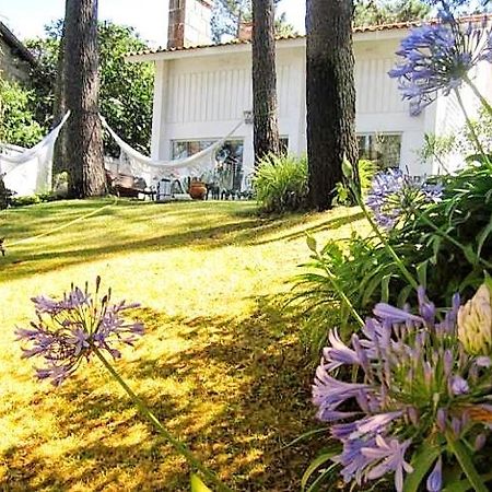 Cabedelo Beach House Viana do Castelo Extérieur photo
